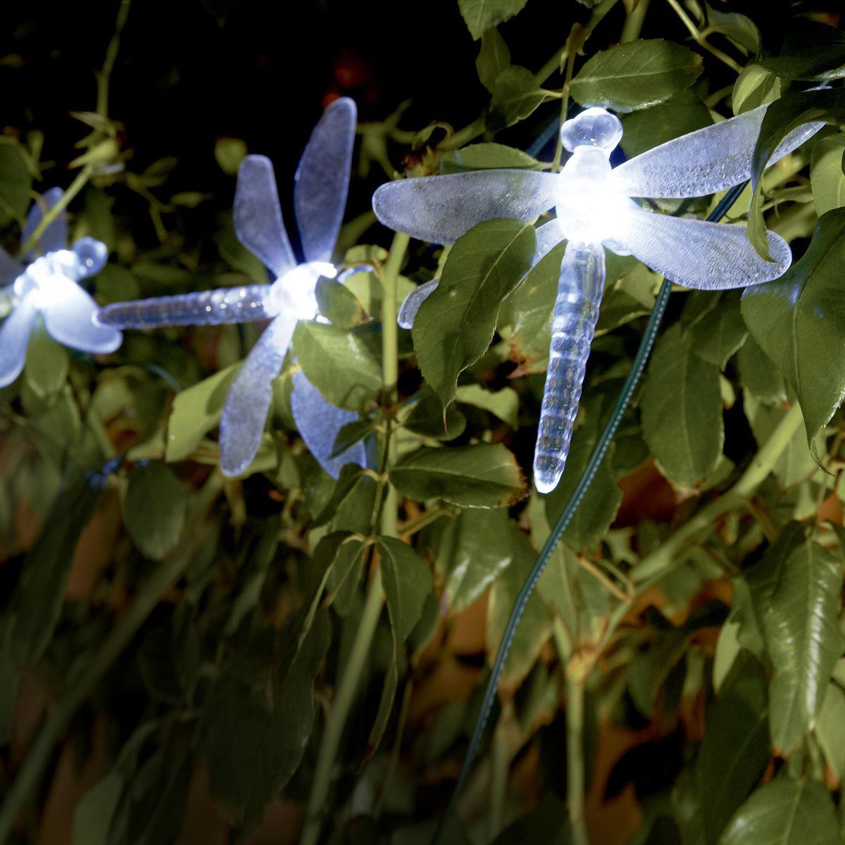 Solar Dragonfly LED String Lights 10-Piece I854