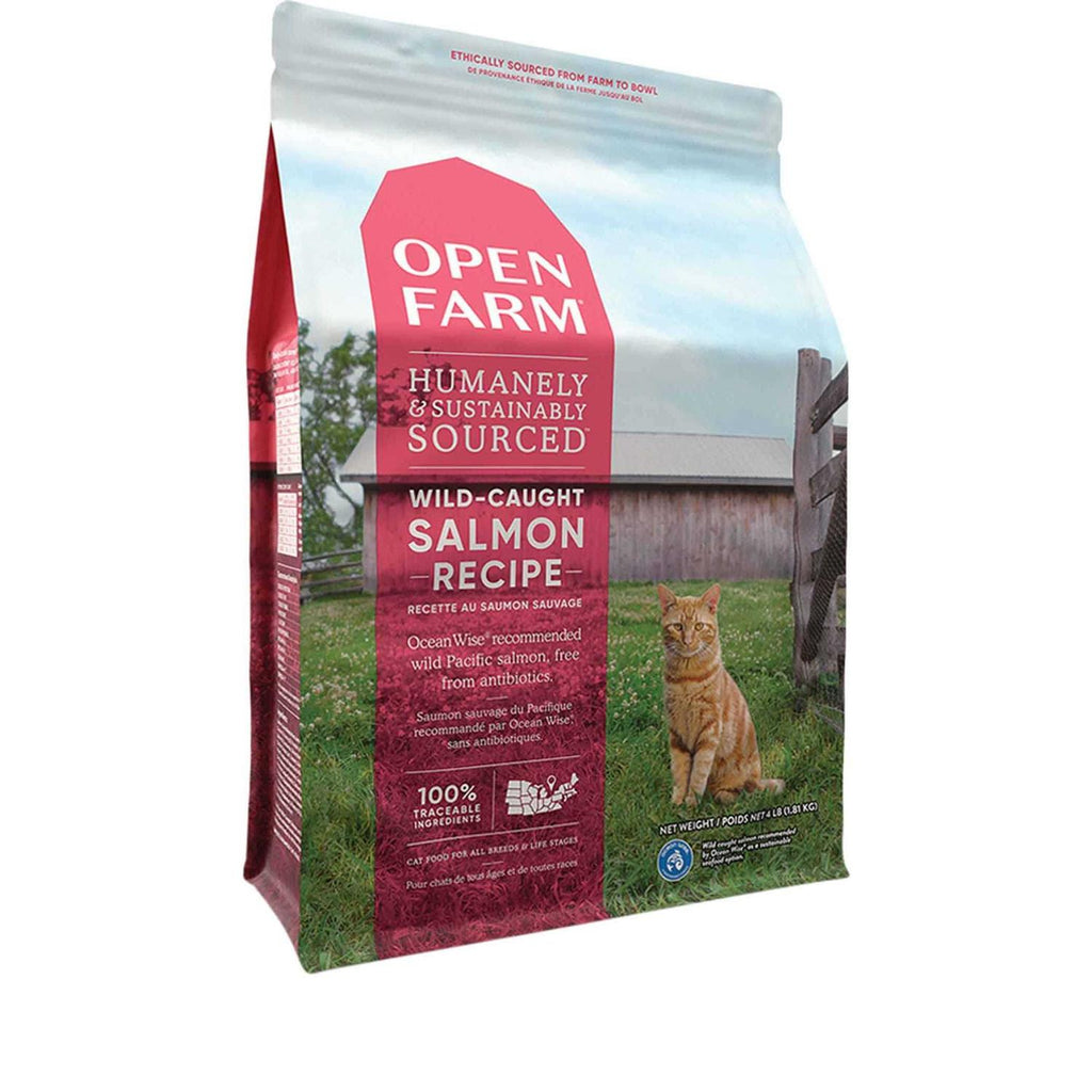 Wild-Caught Salmon Grain-Free Dry Cat Food Z925343