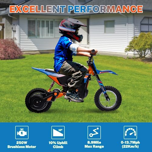 24V 250W Kids Electric Dirt Bike with Air-Filled Tires X441