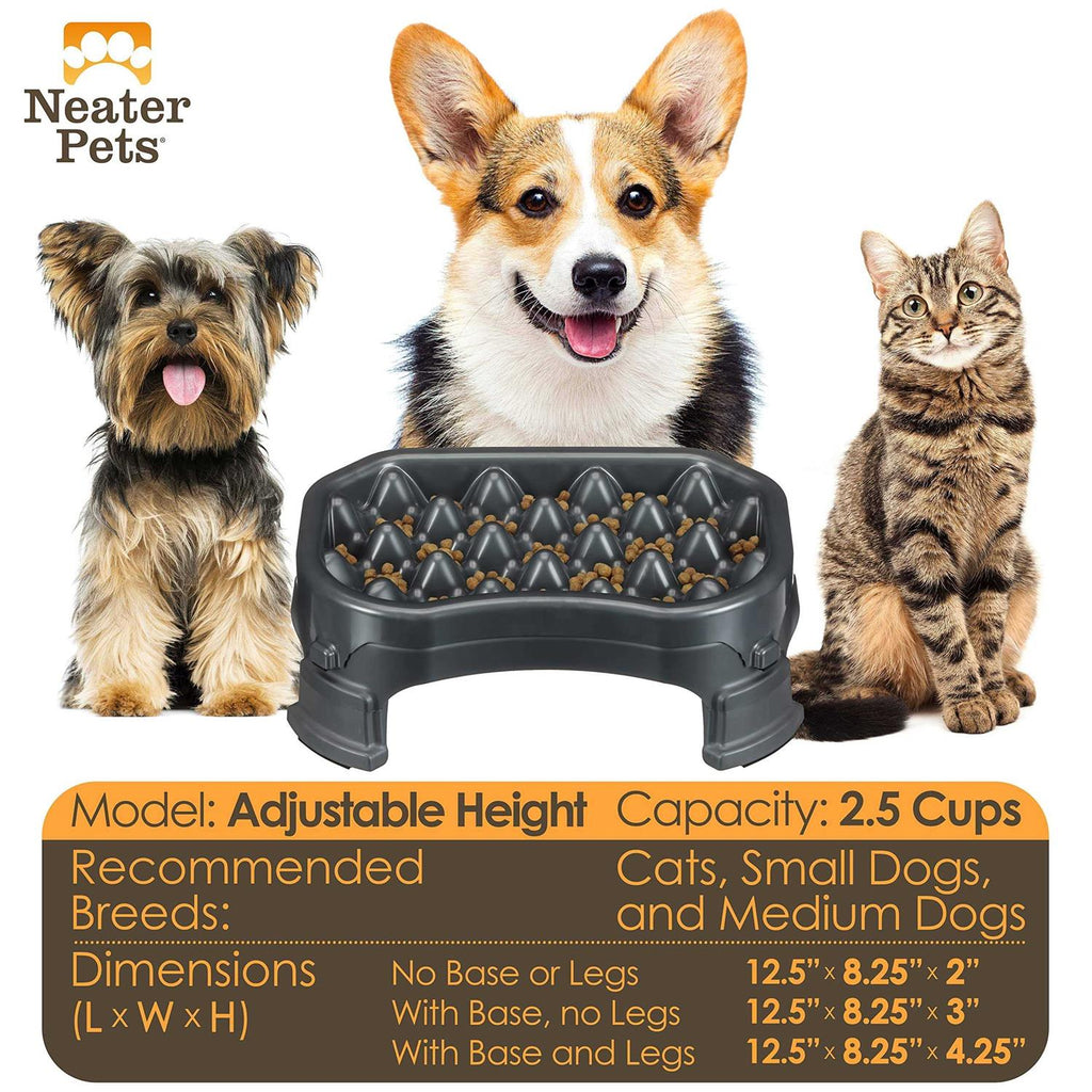 Raised Slow Feeder Dog Bowl G43140