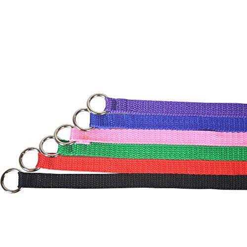 Dog Slip Lead Dog Leash U40395