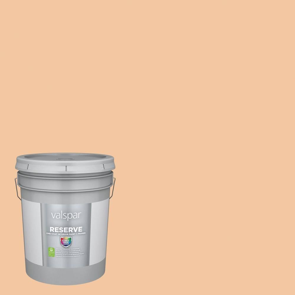 Semi-Gloss Pale Apricot Interior Paint (5-Gallon) T3618