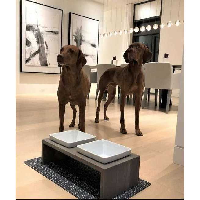 Double Dog Feeder X624944