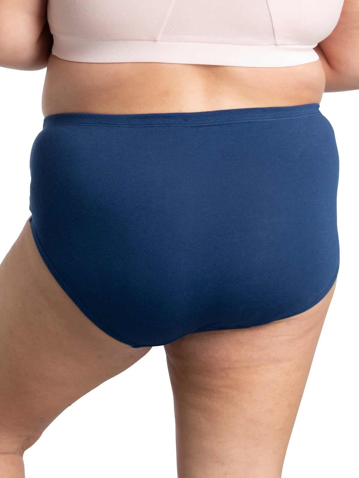 Plus Size Cotton Brief Underwear 10 Pack D415845