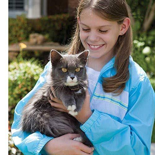 In-Ground Cat Fence Receiver Collar A197