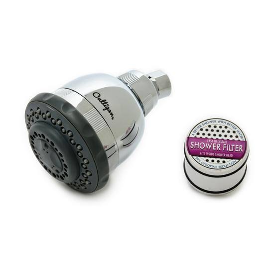 Wall-Mount Showerhead with Shower Filter C490811
