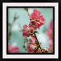 Photographic Print 20x22 W28797